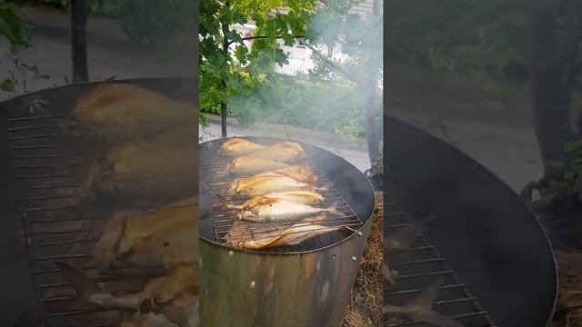skumbrė 2 val. sūdyta. rūkytą 50 minučiu