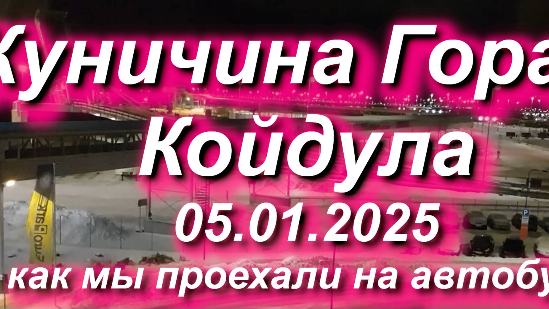 КУНИЧИНА ГОРА / КОЙДУЛА 05.01.2025 Как мы проехали КПП на автобусе #Россия #Эстония #РФ #ЕС #граница