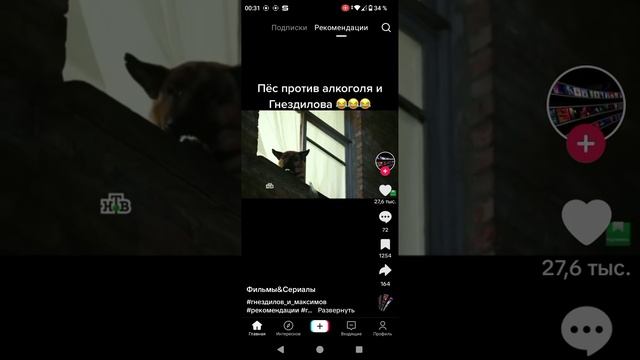 пёс против алкоголя и Гнездилова