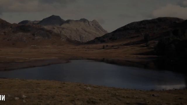 Ведьмак: ваххабитские козни
