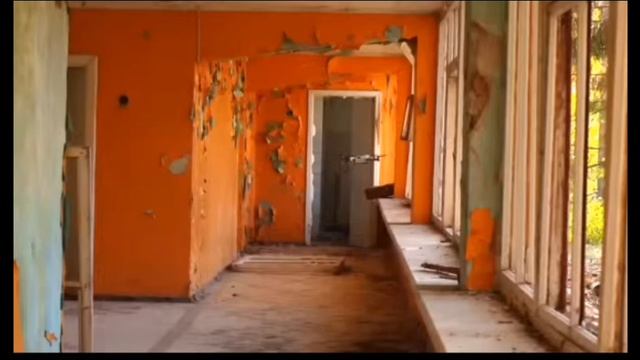 познаватель (ГАЧА) желтобрюх Улетел но обещал вернуться