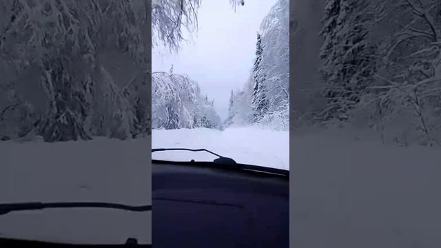 Привет с Урала.Сказочный лес.С Рождеством!