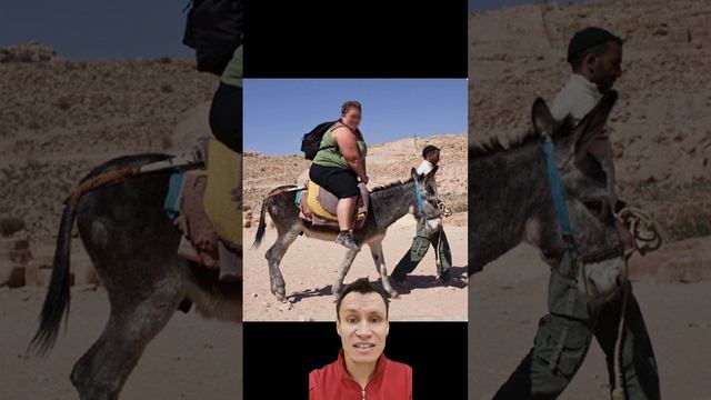ЗАЩИТА ОСЛОВ.mp4