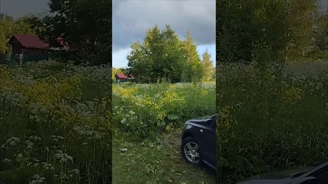 VID_20250107_234458