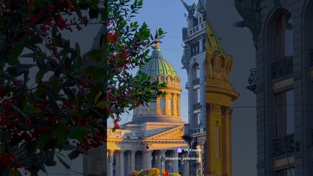 красота