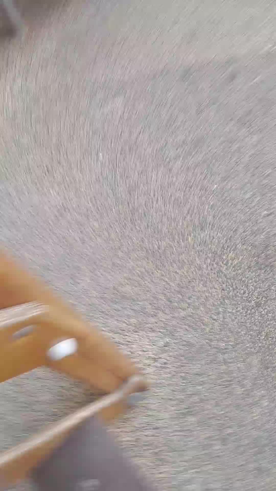 Прятки