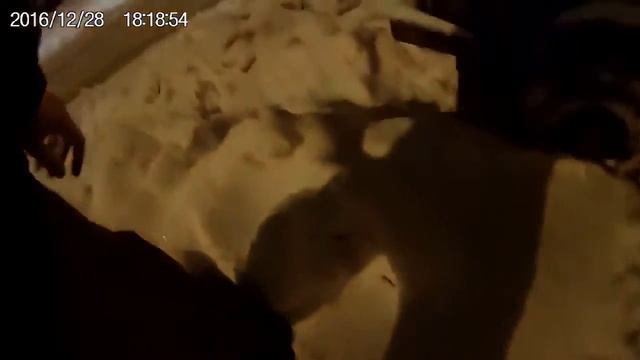 декабрь 2016, парковка в сугроб на новом месте
