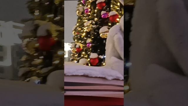 1000040243.mp4