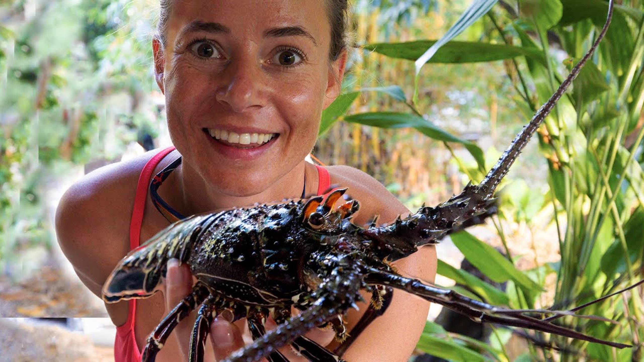 ДОБЫЧА ЛАНГУСТА | МЕСТНЫЙ ТИКО ПОКАЗЫВАЕТ МЕСТА | В КОСТА РИКЕ