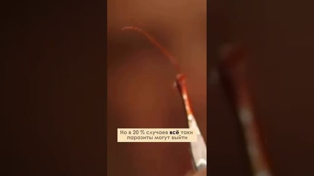 Они выходят во время очищения