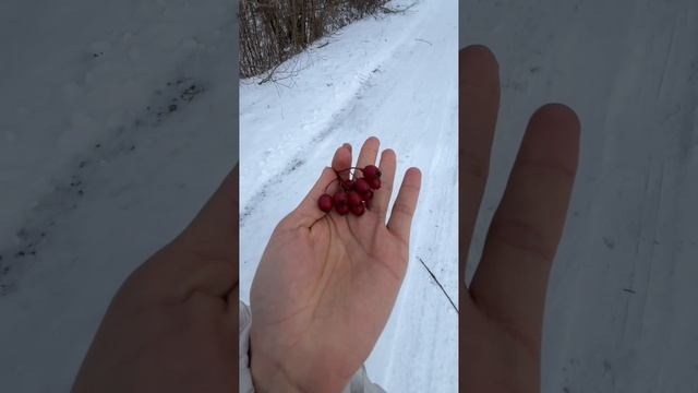 Зима в Деревне @miller.blog🫶