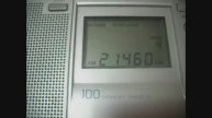 21460 kHz Cupid Radio (NL pirate) 10.11.2024