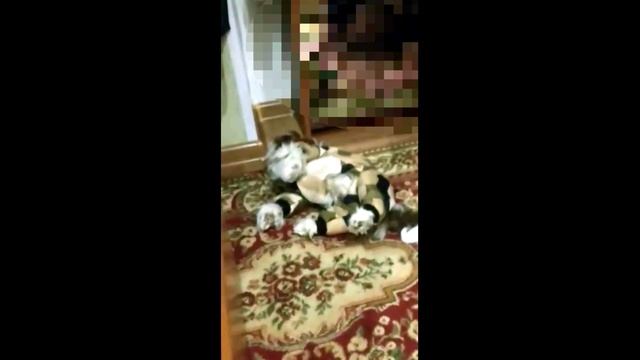 Первый раз в одежде