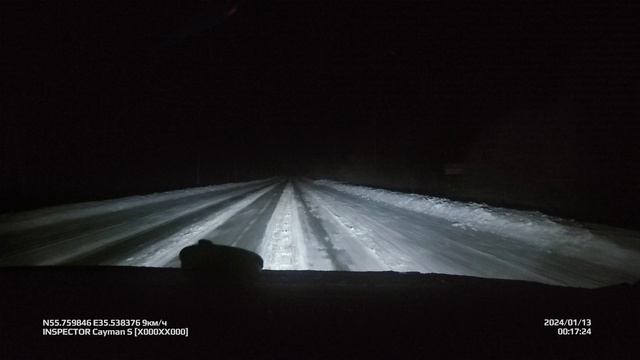 Лоси на дороге из Петрозаводска в Можайск