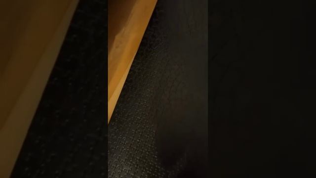 1736323193200.mp4