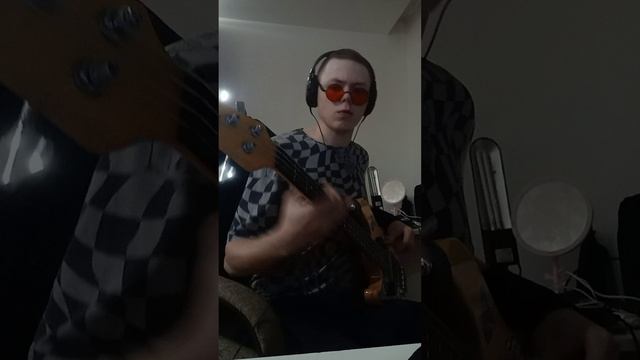Zdob si Zdub - Видели ночь бас кавер