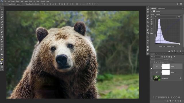 Кривые в Фотошопе_ Работа с цветом и тоном