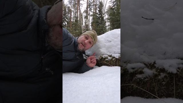 Потеряшка в лесу