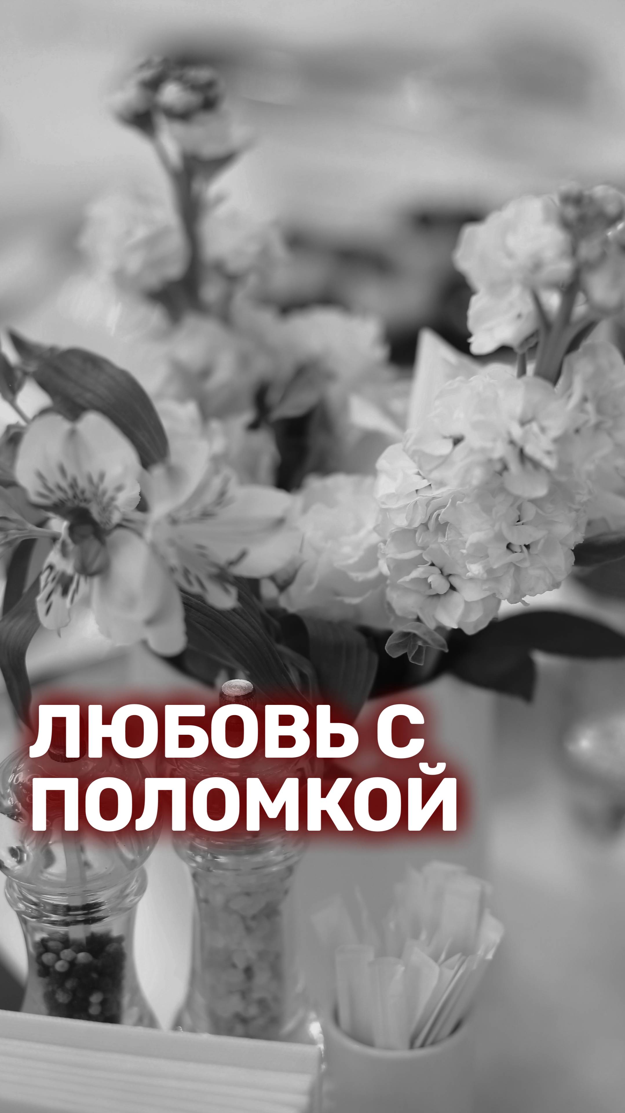 У всех любовь с "ПОЛОМКОЙ"