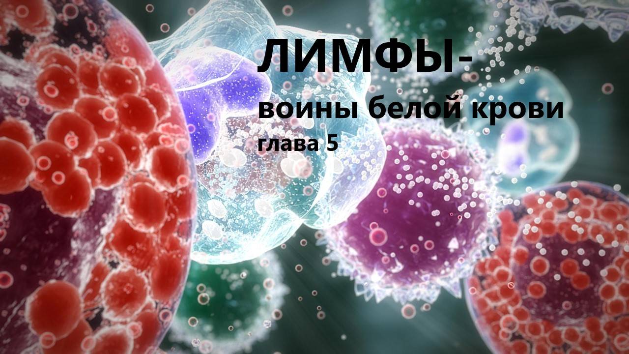 Лимфы. Воины белой крови. Глава пятая. Клятва заговорщиков.