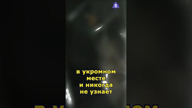 Моссад - крупнейшая спецслужба мира #спецслужбы #израиль