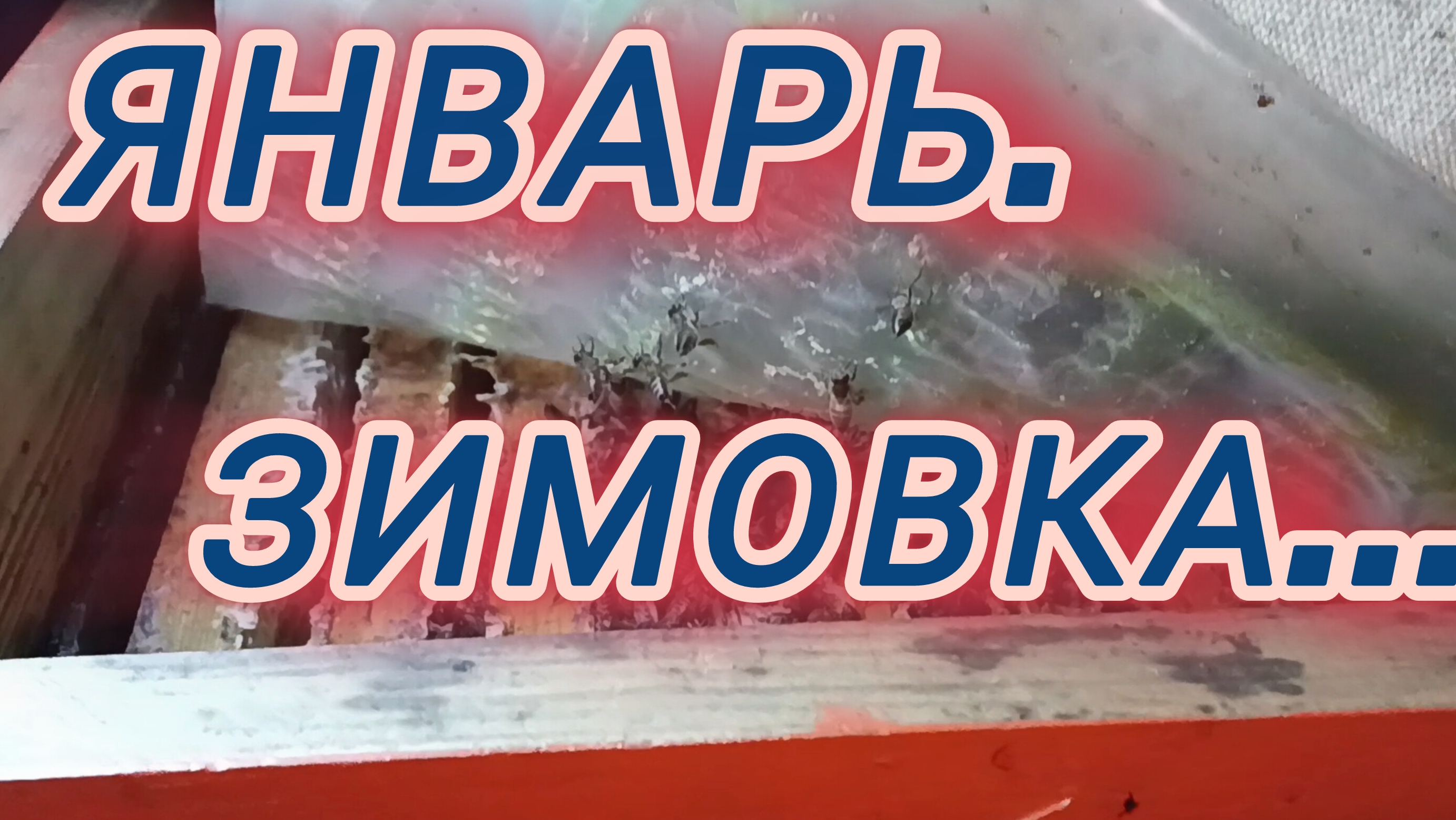 Январь.Зимовка