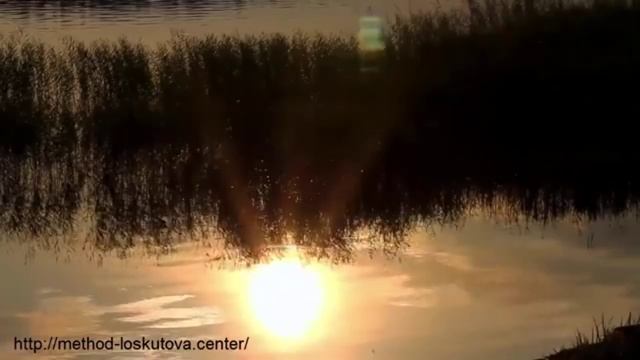 Сура 16 Пчёлы