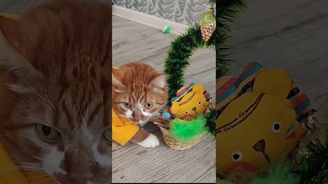 Светлого Рождества! Добра, любви и волшебства!