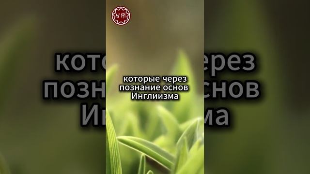 Кто такой Духовный человек?