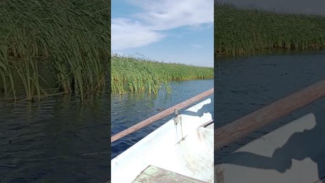 На Ладоге