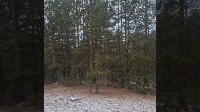 5 ДеКАбря 2024г..mp4