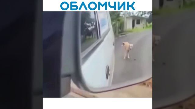 1000018999.mp4