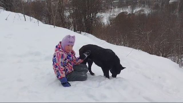 хорошая собачка ласка гав гав