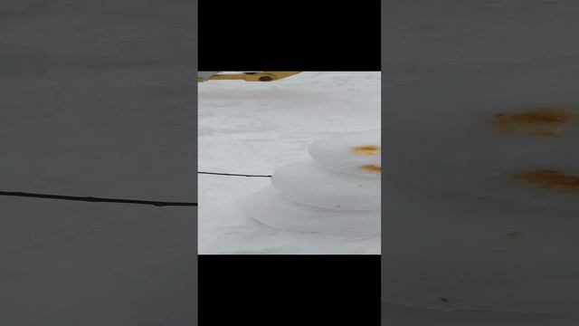 1000012576.mp4