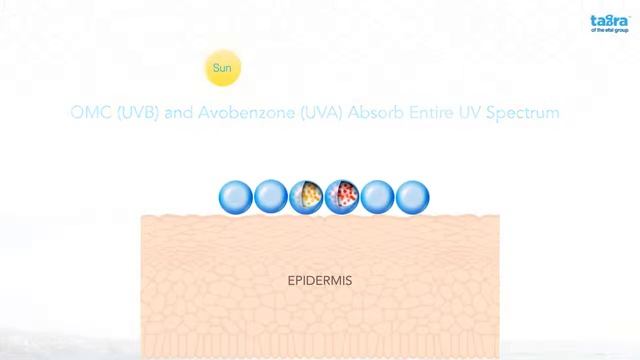 Encapsulated UV filters-SunCaps™ from Tagra and Glenn