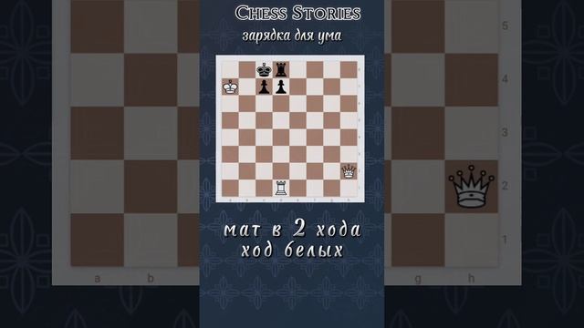 Задача для ума #chess #stories #задачи #шахматы #shorts