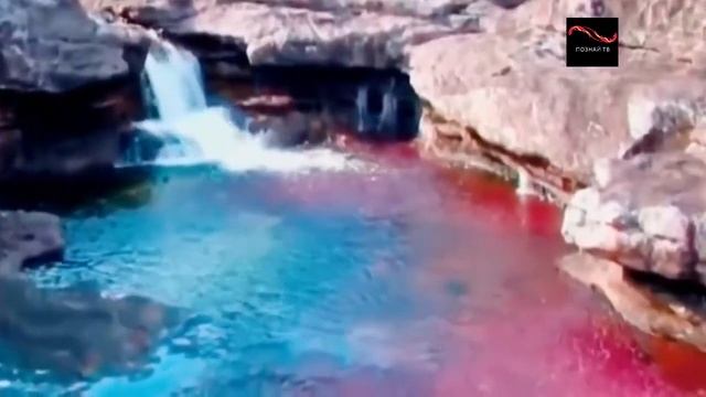 Редчайшие природные явления