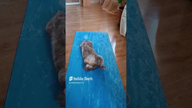 Гимнастика!