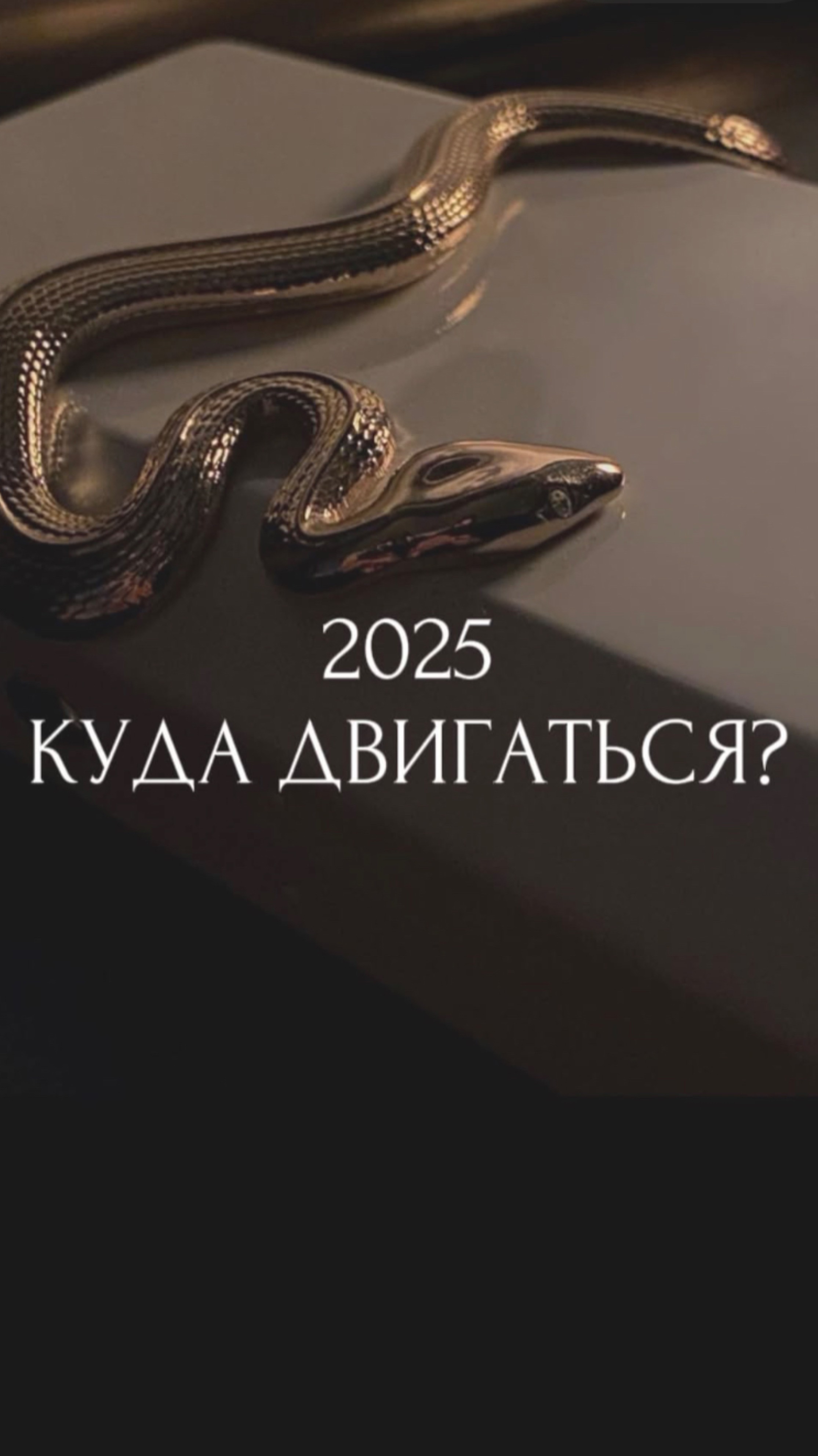 2025 куда двигаться?