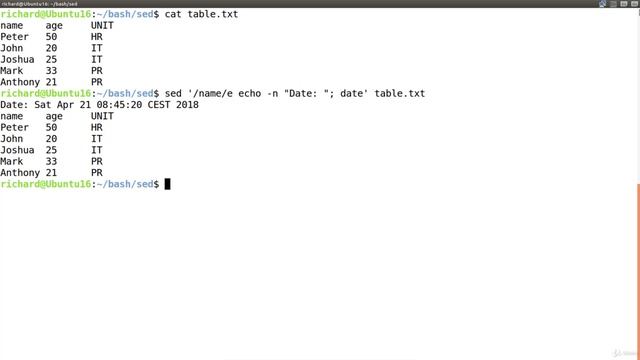 9. e - perform shell commands