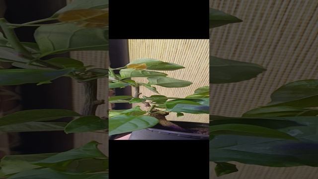 VID_20250108_201805