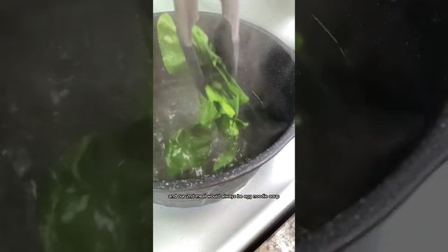 Roast duck egg noodle soup