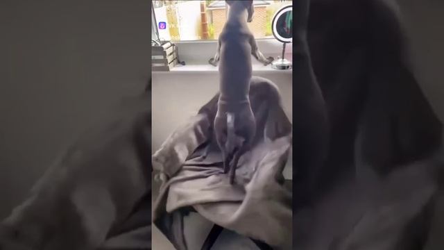 1000070675.mp4