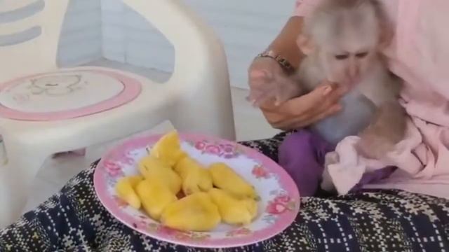 ОБЕЗЬЯНКА МАЛЫШ 19