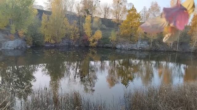 Невестка бросила перед свекровью папку, при виде которой, свекровь побледнела...