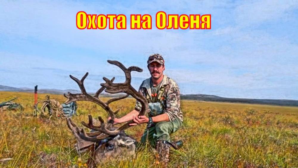 Охота на Оленя