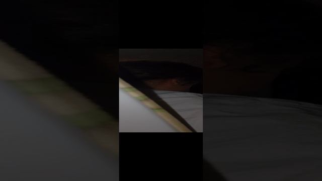 1000012584.mp4