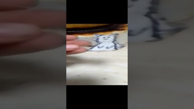 продолжение расклеить котиков 😊