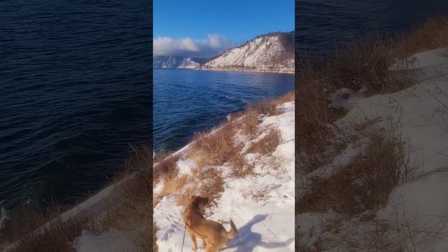 Они уже ловят