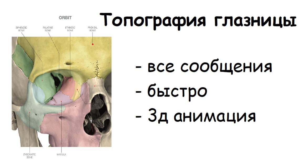 ТОПОГРАФИЯ ГЛАЗНИЦЫ | ВСЕ СООБЩЕНИЯ